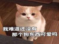 上海澜竞网络科技有限公司