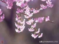 上海澜竞网络科技有限公司