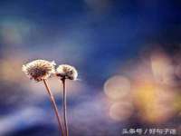上海澜竞网络科技有限公司