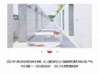 上海澜竞网络科技有限公司