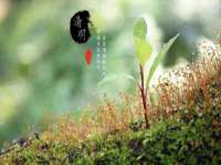 上海澜竞网络科技有限公司