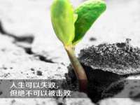 上海澜竞网络科技有限公司