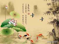 上海澜竞网络科技有限公司