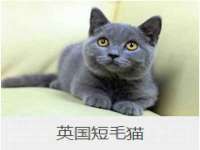 上海澜竞网络科技有限公司