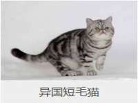上海澜竞网络科技有限公司