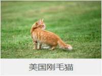 上海澜竞网络科技有限公司