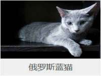 上海澜竞网络科技有限公司