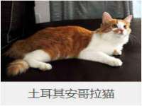 上海澜竞网络科技有限公司