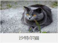 上海澜竞网络科技有限公司