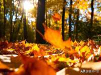 上海澜竞网络科技有限公司