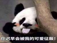 上海澜竞网络科技有限公司