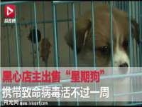 上海澜竞网络科技有限公司