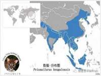 上海澜竞网络科技有限公司