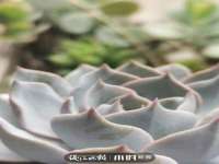 上海澜竞网络科技有限公司