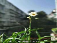 上海澜竞网络科技有限公司
