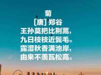 上海澜竞网络科技有限公司