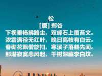 上海澜竞网络科技有限公司