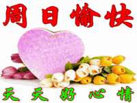 上海澜竞网络科技有限公司