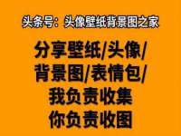 上海澜竞网络科技有限公司