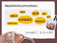 上海澜竞网络科技有限公司