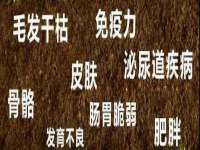 上海澜竞网络科技有限公司
