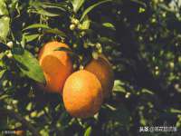 上海澜竞网络科技有限公司
