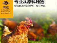 上海澜竞网络科技有限公司