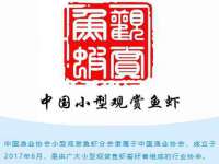 上海澜竞网络科技有限公司