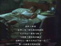 上海澜竞网络科技有限公司