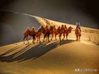 上海澜竞网络科技有限公司
