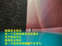 上海澜竞网络科技有限公司