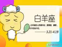 上海澜竞网络科技有限公司