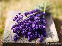 上海澜竞网络科技有限公司