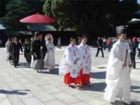 上海澜竞网络科技有限公司